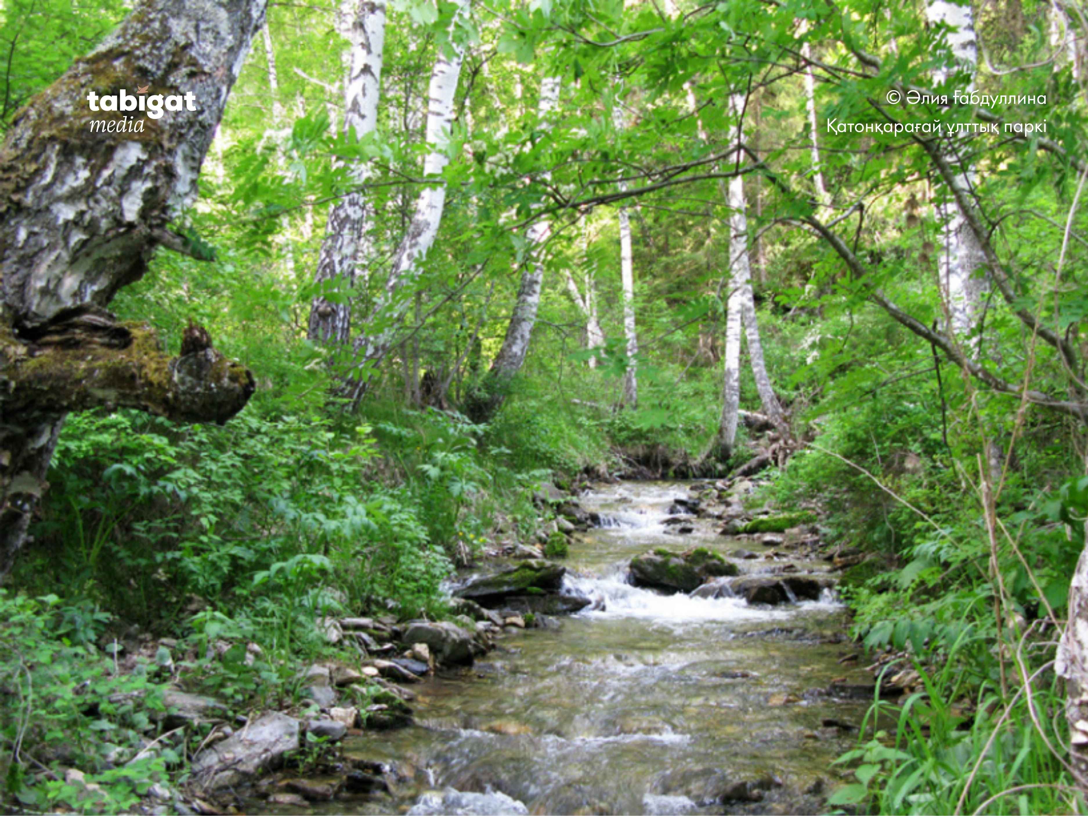Настя мен Дима порно видео